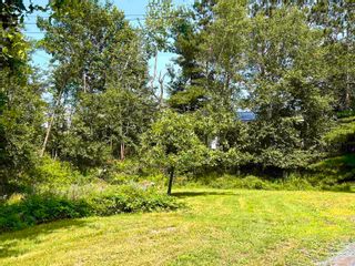 Photo 4: 254 Denoon Street in Pictou: 107-Trenton, Westville, Pictou Residential for sale (Northern Region)  : MLS®# 202315431