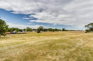 Photo 38: 1735 Valleyview Road NE in Calgary: Vista Heights Detached for sale : MLS®# A1252166
