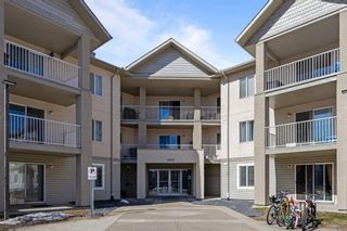 Main Photo: 310 3000 Citadel Meadow Point NW in Calgary: Citadel Apartment for sale : MLS®# A2117950