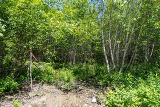 Photo 22: Lot 10 Old Renfrew Road in Upper Rawdon: 105-East Hants/Colchester West Vacant Land for sale (Halifax-Dartmouth)  : MLS®# 202306247
