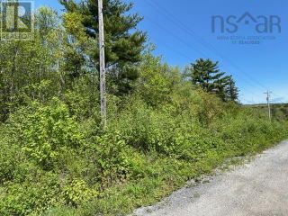 Photo 4: Roy Turner Road|PID#70071337 in Milton: Vacant Land for sale : MLS®# 202310249