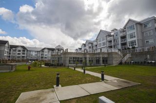 Photo 19: 205 3148 ST JOHNS Street in Port Moody: Port Moody Centre Condo for sale in "SONRISA" : MLS®# R2171149