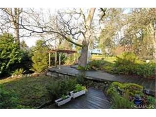 Photo 9: 3720 Blenkinsop Rd in VICTORIA: SE Maplewood House for sale (Saanich East)  : MLS®# 452940