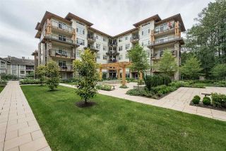 Photo 18: 307 2495 WILSON Avenue in Port Coquitlam: Central Pt Coquitlam Condo for sale in "ORCHID" : MLS®# R2391943