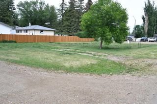 Photo 4: 236 1 Street E: Duchess Residential Land for sale : MLS®# A2103323