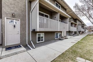 Photo 2: 34 8112 36 Avenue NW in Calgary: Bowness Row/Townhouse for sale : MLS®# A2128421