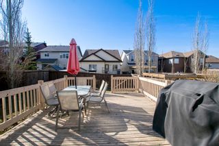 Photo 44: 91 Evansbrooke Manor NW in Calgary: Evanston Detached for sale : MLS®# A1211747