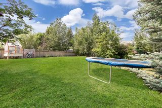 Photo 33: 64 Douglas Ridge Green SE in Calgary: Douglasdale/Glen Detached for sale : MLS®# A2057530