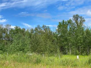 Photo 8: 86027 36 Road East in Brokenhead Rm: R02 Residential for sale : MLS®# 202316848