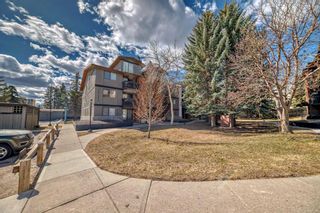 Photo 25: 108B 7301 4A Street SW in Calgary: Kingsland Apartment for sale : MLS®# A2121679