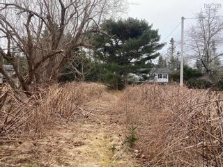 Photo 1: 10522 Highway 7 in Oyster Pond: 35-Halifax County East Vacant Land for sale (Halifax-Dartmouth)  : MLS®# 202205861