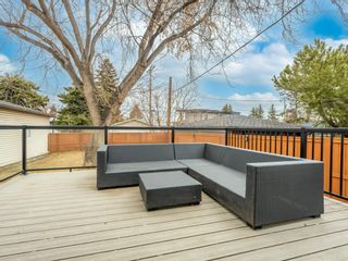 Photo 27: 4836 Worcester Drive SW in Calgary: Wildwood Detached for sale : MLS®# A2039462