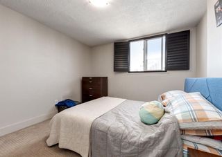 Photo 13: 501 505 19 Avenue SW in Calgary: Cliff Bungalow Apartment for sale : MLS®# A2116012