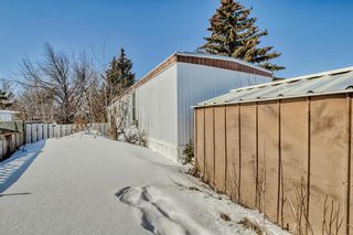 Photo 24: 827 Bay Road: Strathmore Detached for sale : MLS®# A2032037