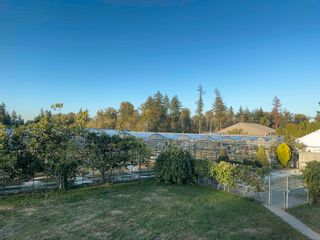 Photo 9: 22787 24 Avenue in Langley: Campbell Valley House for sale : MLS®# R2817206