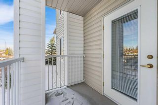Photo 27: 3231 6818 Pinecliff Grove NE in Calgary: Pineridge Apartment for sale : MLS®# A2093726