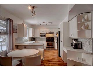 Photo 6: 684 MERRILL Drive NE in Calgary: Winston Heights/Mountview House for sale : MLS®# C4102737