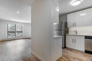 Photo 7: 201 234 5 Avenue NE in Calgary: Crescent Heights Apartment for sale : MLS®# A2121005