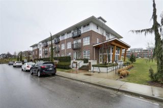 Photo 10: 304 245 BROOKES Street in New Westminster: Queensborough Condo for sale in "DUO A AT PORT ROYAL" : MLS®# R2145117