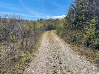 Photo 9: Lot Round Bay Ferry Road in Round Bay: 407-Shelburne County Vacant Land for sale (South Shore)  : MLS®# 202211371