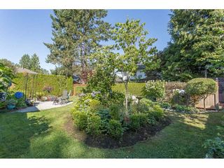 Photo 19: 23967 118TH Avenue in Maple Ridge: Cottonwood MR House for sale : MLS®# R2199339