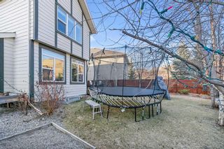 Photo 43: 91 Cranbrook Place SE in Calgary: Cranston Detached for sale : MLS®# A2123435