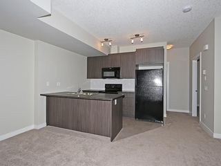 Photo 30: 140 300 Marina Drive: Chestermere Apartment for sale : MLS®# A1224918