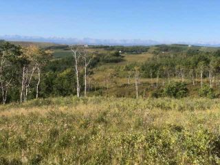 Photo 34: 306 Avenue W: Rural Foothills County Residential Land for sale : MLS®# A2084312