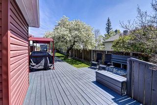 Photo 27: 1036 9 Street SE in Calgary: Ramsay Detached for sale : MLS®# C4299272