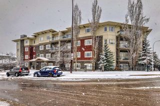 Photo 36: 135 23 Millrise Drive SW in Calgary: Millrise Apartment for sale : MLS®# A2120419