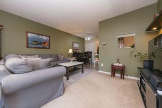 Photo 3: 43 10051 SWINTON Crescent in Richmond: McNair Townhouse for sale in "Edgemere Gardens" : MLS®# R2863826