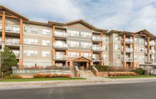 Photo 19: 214 20219 54A Avenue in Langley: Langley City Condo for sale in "Suede" : MLS®# R2227815
