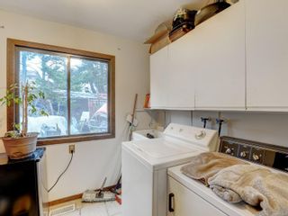 Photo 21: 3912 Braefoot Rd in Saanich: SE Cedar Hill Single Family Residence for sale (Saanich East)  : MLS®# 951237