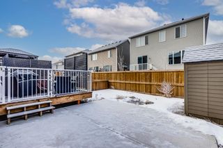 Photo 23: 59 Osborne Common SW: Airdrie Detached for sale : MLS®# A2019867