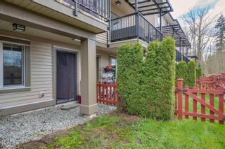 Photo 25: 123 10151 240TH Street in Maple Ridge: Albion Townhouse for sale : MLS®# R2768470