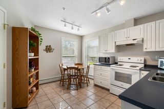 Photo 13: 101 280 Shawville Way SE in Calgary: Shawnessy Apartment for sale : MLS®# A2053399