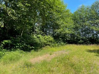 Photo 2: 1142 Seventh Ave in Ucluelet: PA Salmon Beach Land for sale (Port Alberni)  : MLS®# 919232
