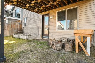 Photo 36: 43 Evanston Rise NW in Calgary: Evanston Detached for sale : MLS®# A1163935