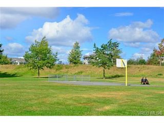 Photo 16: 4041 Nelthorpe St in VICTORIA: SE High Quadra Land for sale (Saanich East)  : MLS®# 685817