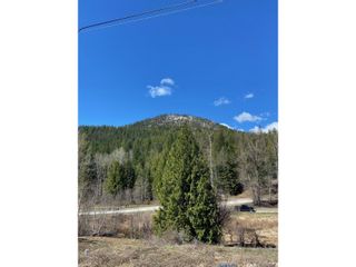 Photo 6: 201 JOLIFFE WAY in Rossland: Vacant Land for sale : MLS®# 2475917