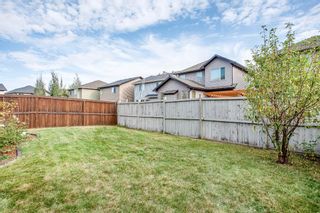 Photo 43: 56 BRIGHTONWOODS Grove SE in Calgary: New Brighton Detached for sale : MLS®# A1026524