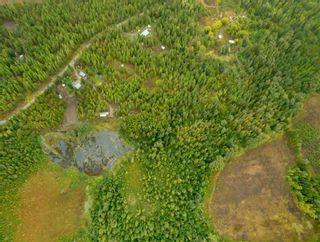 Photo 18: 3107 Trinity Valley Road, in Enderby: Vacant Land for sale : MLS®# 10264864