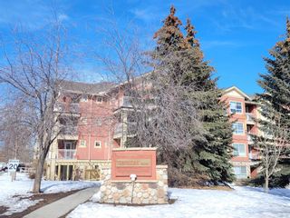 Photo 20: 224 22 Richard Place SW in Calgary: Lincoln Park Apartment for sale : MLS®# A2032133