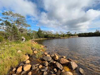 Photo 6: Highway 316 in Isaacs Harbour: 303-Guysborough County Vacant Land for sale (Highland Region)  : MLS®# 202220774