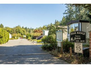 Photo 4: 84 2270 196 Street in Langley: Brookswood Langley Manufactured Home for sale in "Pineridge Park" : MLS®# R2511479