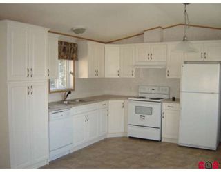 Photo 3: 144 10221 WILSON Road in Mission: Stave Falls Manufactured Home for sale : MLS®# F2806567