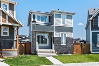Photo 1: 48 Seton Terrace SE in Calgary: Seton Detached for sale : MLS®# A1129665