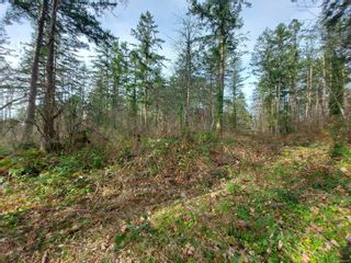 Photo 4: 00 Derrick Rd in North Saanich: NS Deep Cove Land for sale : MLS®# 894426