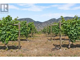 Photo 4: 11631 87TH Street in Osoyoos: Agriculture for sale : MLS®# 10281003