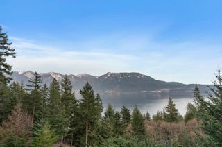 Photo 39: 1572 EAGLE CLIFF Road: Bowen Island House for sale in "Eagle Cliff" : MLS®# R2859860